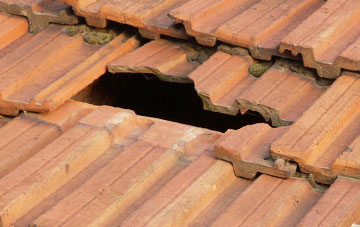 roof repair Wych Cross, East Sussex
